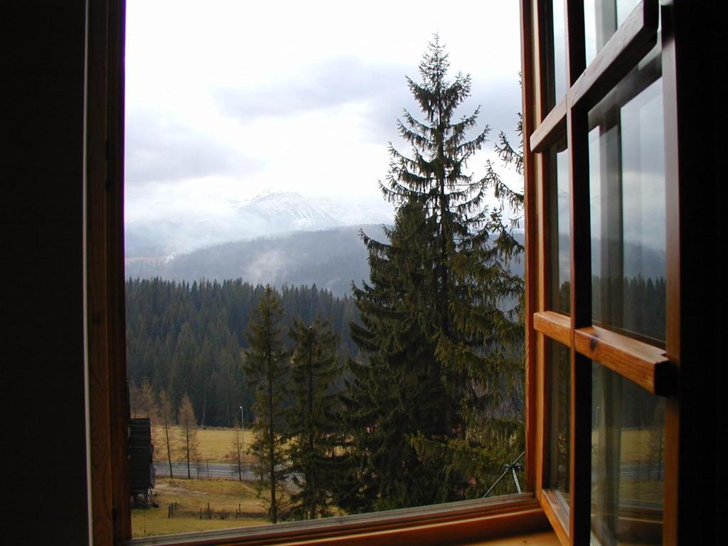 Willa Litka Bukowina Tatrzańska Habitación foto